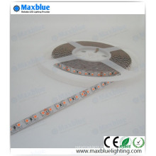 Meilleur prix High Lumen DC12V / 24V SMD LED Strip Light